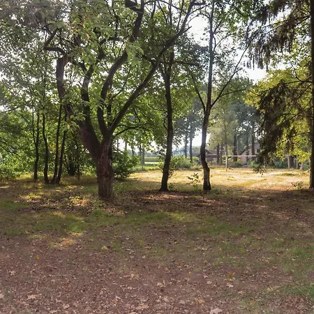 Casa vacanze Amazing Home In Leende With Wifi Leende